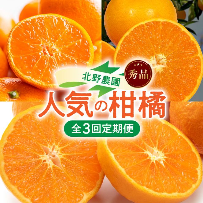 北野農園の人気の柑橘定期便（秀品）【全3回】_DZ60-T02