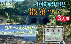 小幌駅周辺散策ツアー（3人用） ふるさと納税 人気 おすすめ ランキング 体験 イベント 小幌駅 散策 ガイド 歴史 見学 3人 北海道 豊浦町 送料無料 TYUL027