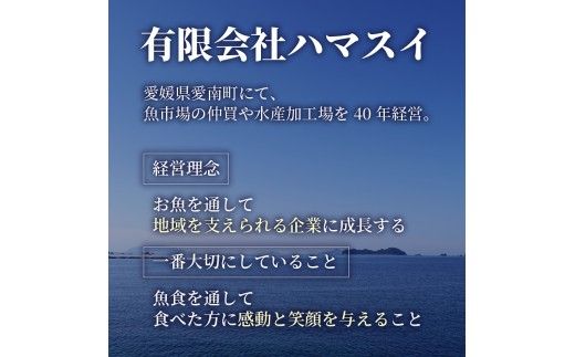 かつお レア ステーキ 1kg カツオ 冷凍 個包装 海鮮 魚 鰹 刺身 新鮮 かつお 鮮魚 時短 便利 個包装 おつまみ おかず 惣菜 晩ごはん 加工品 カツオ 鰹 魚 焼くだけ バジル カツオ 高知 にも負けない ハマスイ 愛媛県 愛南町