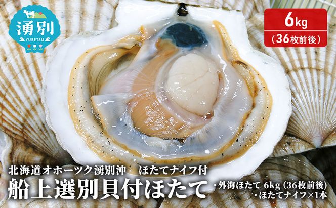 北海道 オホーツク 湧別沖 船上 選別 貝付 ほたて 6kg（36枚前後）ホタテナイフ付 帆立 刺身 海鮮 魚介 国産 殻付き 冷蔵 サロマ湖 魚貝類 砂抜き お刺身 生食