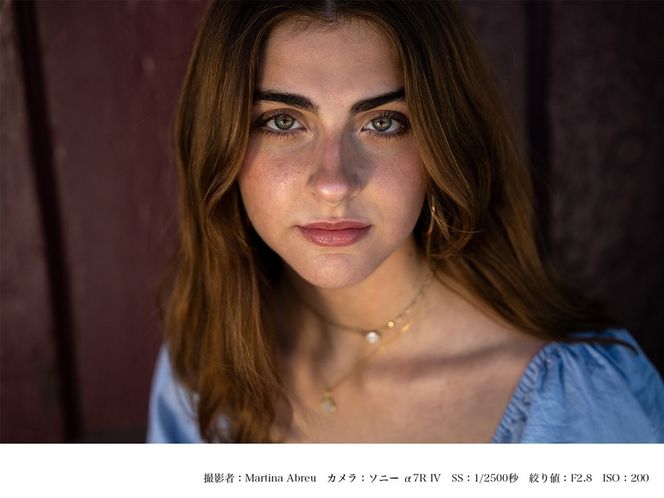 SIGMA 24-70mm F2.8 DG DN II  | Art【Lマウント】