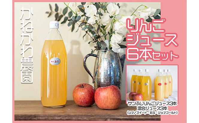 りんごジュース6本セット 飲料 果汁飲料 フルーツジュース 飲み物 ドリンク 100％りんごジュース サンふじ シナノスイート 北斗 ジョナゴールド ブレンド 