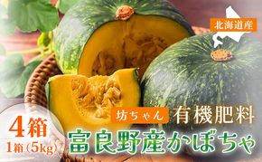 【秋の味覚 北海道産 小玉カボチャ】坊ちゃんカボチャ 無選別 5kg×4箱｜北海道富良野市 9～10月発送 野菜 料理用 家庭用 シェア用 ホクホク 濃厚 甘い 黒皮カボチャ かぼちゃ 坊ちゃんかぼちゃ 南瓜 料理 秋季限定