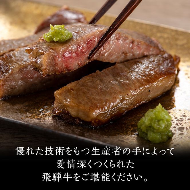 岐阜県産 飛騨牛サーロインステーキ(250g×2枚) 牛肉 500g 