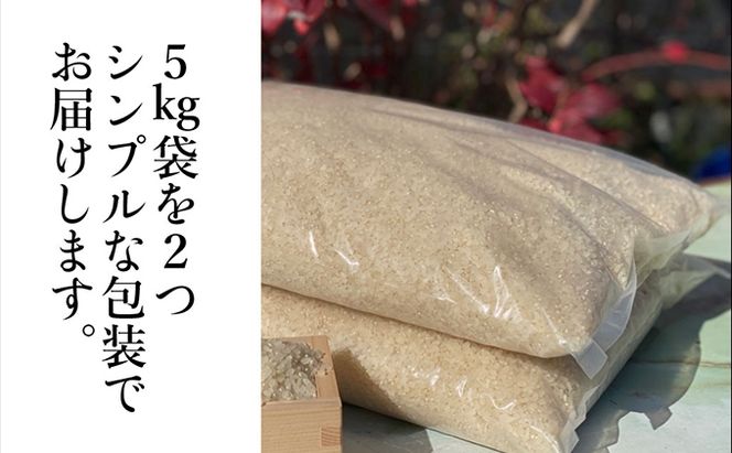 瀬戸内市のおいしい お米 「ひのひかり」 10kg（5kg×2袋）岡山県 瀬戸内市産 石黒農園 ご飯 銘柄米 炭水化物 白米 ライス 主食 和食 おにぎり お弁当 産地直送 