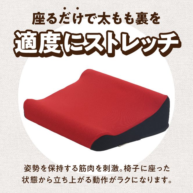 ろっかん式ストレッチクッション ［023M17］ ろっかん式 ストレッチ クッション 選べる カラー 立ち上がり サポート 清水ろっかん先生 エルゴノミクスデザイン ハムストリングス 太もも裏ストレッチ 丸菱工業株式会社 お取り寄せ 愛知県 小牧市 送料無料
