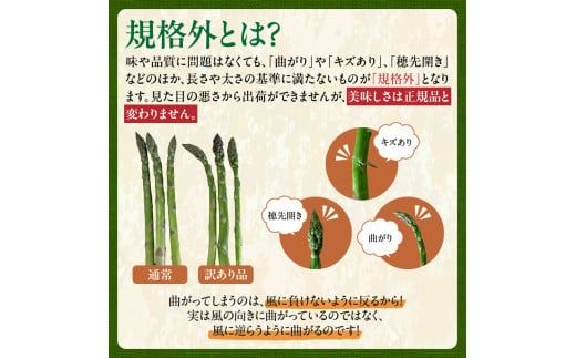 【2025年発送先行予約！】訳ありアスパラガス 2kg！ アスパラ アスパラガス 野菜 訳ありアスパラ 旬 訳ありアスパラガス 保存 北海道産 2025年 アスパラガス 産直 産地直送 お取り寄せ 清水町 北海道 _S021-0013