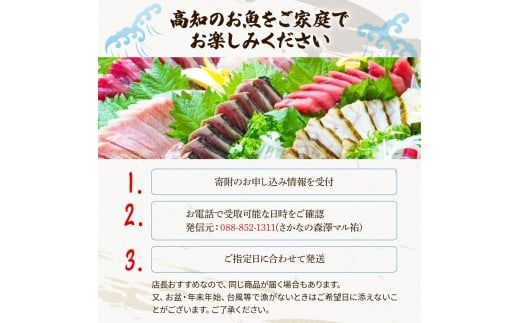 【12回定期便】違いの分かる鮮魚店店長が送る 高知のお魚定期便！！お申込翌月より12回お届け お楽しみ 定期便 魚 海鮮 魚介 カツオのタタキ 鰹 タイ カンパチ ウツボ【さかなの森澤　マル祐】 [BQAM007]