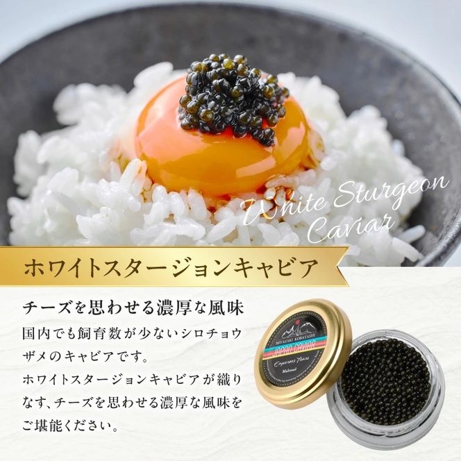 【純国産キャビア】皇帝の涙スペシャルセレクション 60g 国産 チョウザメ キャビア オシェトラ 食べ比べ