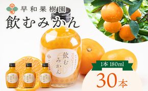 【数量限定 TVで何度も放映！】 飲むみかん 180ml×30本 早和果樹園 ｜ 果汁100％ストレートみかんジュース 和歌山県 有田市 （A614-4）