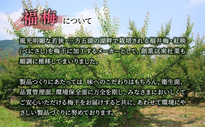 梅干し 650g しそ漬け福梅ぼし うめぼし 梅 しそ漬け 福梅干し 紅さし梅 紅映梅 梅 うめ ウメ 福井県 福井 