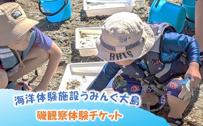 海洋体験施設うみんぐ大島 磯観察1名様分【(㈱)むなかた大島】_HA2026 体験 チケット 福岡県宗像市 宗像市 福岡 宗像