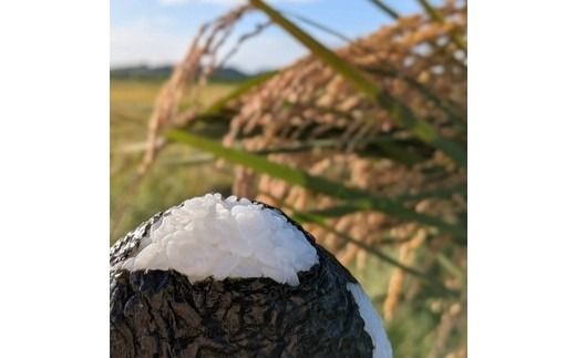 お米屋が厳選した 農家単一の茨城県産 こしひかり 5kg ※離島への配送不可 ※2026年1月下旬～8月下旬頃に順次発送予定