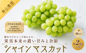 【先行予約】【数量限定】種ありシャインマスカット 約2kg（4〜5房）｜特別栽培農産物〔2026年8月上旬より順次発送〕 232238_CU004