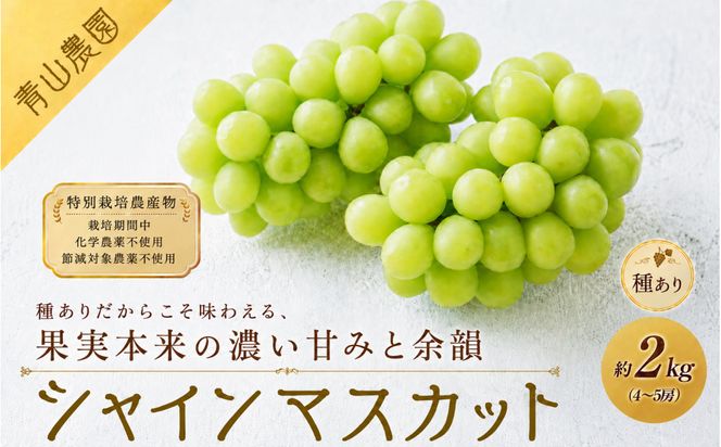 【先行予約】【数量限定】種ありシャインマスカット 約2kg（4〜5房）｜特別栽培農産物〔2026年8月上旬より順次発送〕 232238_CU004
