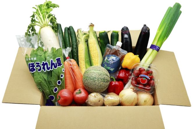 AJ315 季節の野菜・果物セット 13～15品 しそジュース付き [ 野菜 詰合せ 長崎県 島原市 ]