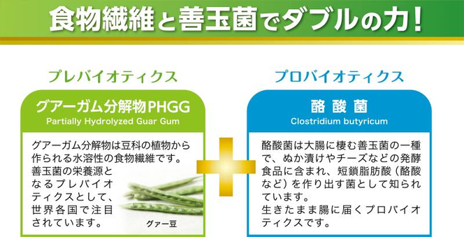 TVで話題！ グアーガム分解物 生きて腸内まで届く 酪酸菌 水溶性食物繊維 サンファイバープラス【スティック】6ｇ×30包 【2箱セット】 シンバイオティクス 医療 介護 安心 無味無臭 グアーガム分解-[G907]