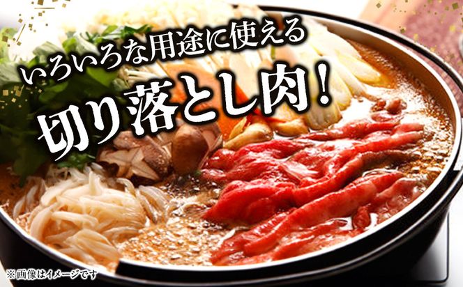 【寄附額見直しました！】小田原 中川食肉おすすめ　かながわブランド　相州切り落とし肉1kg【相州牛 かながわブランド ブランド牛 ブランド牛肉 神奈川特産品 安心安全な銘柄牛 たっぷり使える1kg 相州切り落とし肉1kg 神奈川県 小田原市 】 142069_BF002