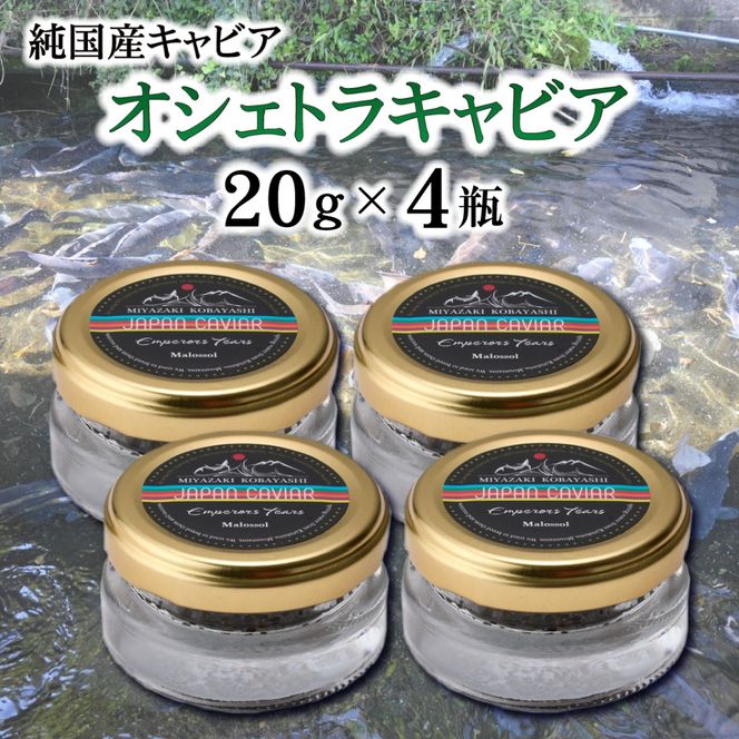 【純国産キャビア】オシェトラキャビア 80g 皇帝の涙 国産 チョウザメ 魚卵 宮崎県 小林市