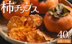 柿 柿チップス 計40ｇ ４袋 10g - お菓子 おやつ スナック菓子 チップ カキ かき フルーツ 果物 ドライフルーツ 調味料不使用 香南くろしお園 高知県 香南市 柿 ke-0022