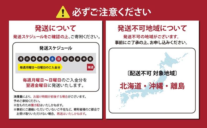 国産 小山町産 アトランティックサーモン 冷凍 スモークサーモン 冷燻・グラブラックス 食べ比べセット100g×6パック×2つの味