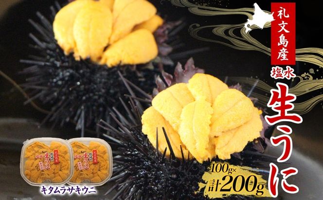 北海道 礼文島産 ミョウバン不使用 塩水ウニ キタムラサキウニ 100g×2パック［野崎水産］【 うに ウニ 雲丹 生うに 塩水うに ムラサキウニ 素材本来の味 海鮮 うに丼 濃厚 甘み 産地直送 】