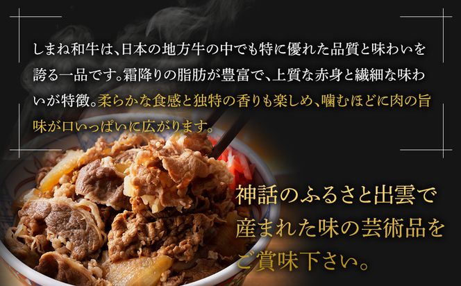 藤増 しまね和牛小間切り 600ｇ【冷凍】 322032_DS009