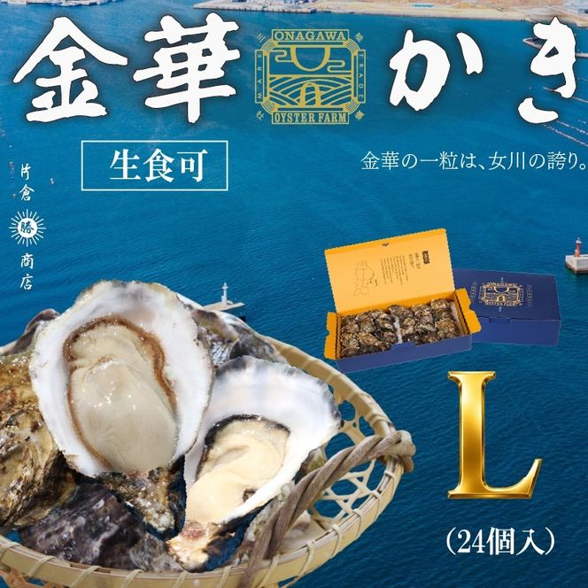金華かき 女川オイスターファーム ラージサイズ 生食可 