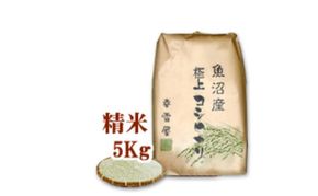 令和7年産 魚沼コシヒカリ 非BL米 5kg 米 コメ こしひかり 十日町市