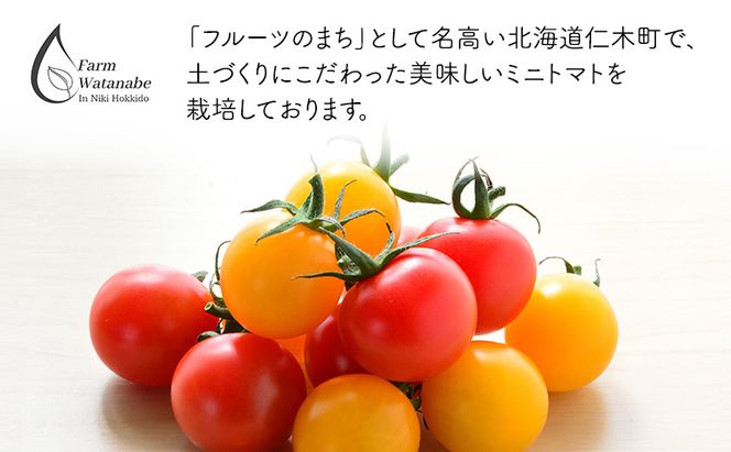 北海道 仁木町産 高糖度 ミニトマトジュース 1L×2本 [エコスイートレモン(新品種)] 無塩・無糖・保存料無添加 栽培期間中農薬・化学肥料・除草剤不使用【2025年産】 [Farm Watanabe]