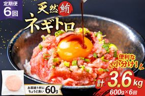 6回 定期便 天然 マグロ ネギトロ まぐろたたき 冷凍 60g 10個 計600g [トライ産業 静岡県 吉田町 22424390] 小分け 個包装 まぐろのたたき 鮪 まぐろ ネギトロ丼 ねぎとろ マグロたたき