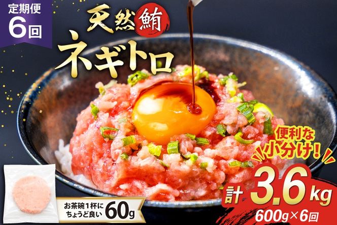 6回 定期便 天然 マグロ ネギトロ まぐろたたき 冷凍 60g 10個 計600g [トライ産業 静岡県 吉田町 22424390] 小分け 個包装 まぐろのたたき 鮪 まぐろ ネギトロ丼 ねぎとろ マグロたたき