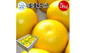【CF-R7hbk】高知県産 温室文旦 5kg 5キロ 文旦 ブンタン ぶんたん 柑橘 かんきつ 蜜柑 みかん 柑橘類 フルーツ 果物 くだもの デザート おやつ 爽やか 甘い あまい ジュース 美味しい おいしい