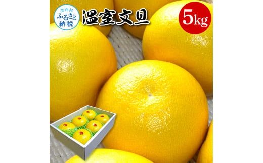 【CF-R7hbk】高知県産 温室文旦 5kg 5キロ 文旦 ブンタン ぶんたん 柑橘 かんきつ 蜜柑 みかん 柑橘類 フルーツ 果物 くだもの デザート おやつ 爽やか 甘い あまい ジュース 美味しい おいしい