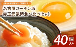 【山ちゃん家の生みたて葉酸たまご】名古屋コーチン卵・赤玉元気卵 食べ比べセット（各20個 合計40個入り）［132Y10］山ちゃん家 生みたて 葉酸たまご 名古屋コーチン卵 赤玉元気卵 食べ比べ セット 各 20個 合計 40個 入り 地鶏 卵 朝食 卵焼き 目玉焼き オムライス ゆでたまご 山田養鶏 お取り寄せ 愛知県 小牧市 送料無料