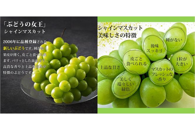 【A7-070】シャインマスカット2房(約1kg)＜2026年8月中旬から発送開始分先行予約＞