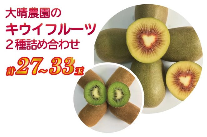 yʌtsztsuY̗吰_ qvLECt[cQlߍ킹@27`33ʓy{BziBY003-3j