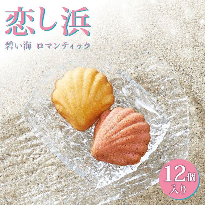 y茧Dnszl12lߍ킹iEXgx[j [kamome28]