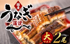 大型サイズ ふっくら柔らか国産うなぎ蒲焼き ２尾 うなぎ 国産 特大【uot302A-3】