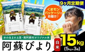 【9ヶ月定期便】阿蘇びより 白米 15kg (5kg×3袋)《お申込み翌月から出荷》 ｜国産米 人気米 熊本県産米 お米---mna_abytei_15kg_301500_mo9_h---