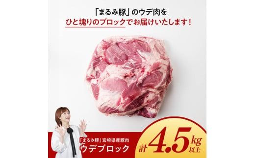 宮崎県産豚肉「まるみ豚」ウデブロック　計4.5kg以上 【 豚肉 豚 肉 国産 川南町 ウデ 】[D11514]