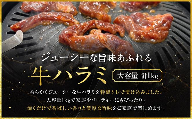 【エスイー】牛ジューシーハラミタレ漬け 500g×2パック 計1kg｜京都 食肉卸 自慢の肉質 牛ハラミ 人気セット 小分け［ 食肉卸の絶品ハラミ タレ漬け 小分け 便利 人気 おすすめ 肉 お肉 牛肉 焼肉 お取り寄せ 通販 送料無料 ふるさと納税 ] 261009_A-WX004