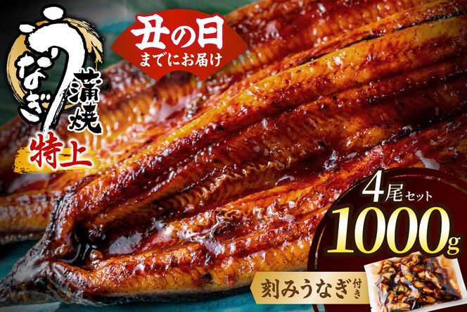 数量限定！地域応援企画！うなぎ蒲焼き4尾セット＜刻みうなぎ40g×1袋付＞【魚住商店】_HA1494-CP 特上 鰻 ウナギ 人気 特大 炭火 うなぎの蒲焼 丑の日 土用 真空 福岡県宗像市 宗像市 福岡 宗像