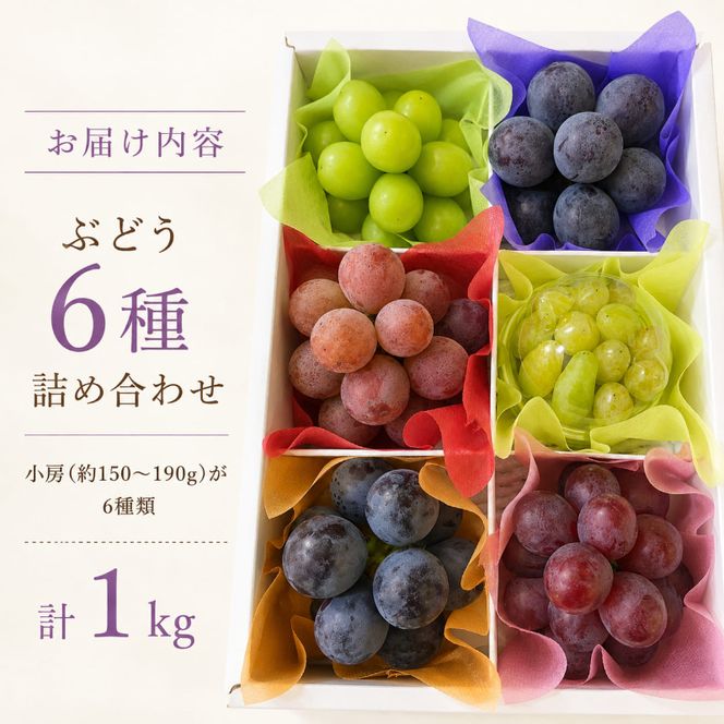 園主おまかせ！ぶどう6種詰め合わせセット約1kg（小房6房入り）化粧箱 岡山県高梁市産