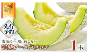 完熟 アールスメロン 1玉 2026年産 先行予約 メロン マスクメロン 青肉 果物 フルーツ 茨城県産 期間限定 数量限定 [AF086ci]