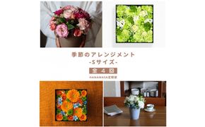 【お花の定期便】「季節毎」に届く、旬のアレンジメント Sサイズ（4回お届け） 142069_BN044