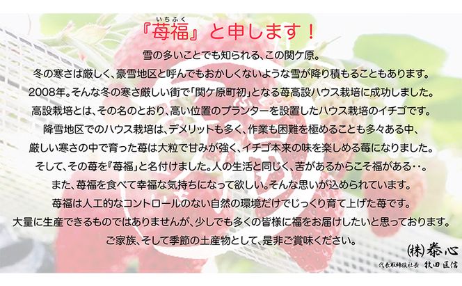 【関ケ原町産苺福使用】苺福みるくぷりん・ジャムセット