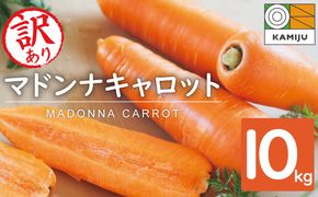 【予約受付】＜フジテレビ『どっちのふるさと？』で紹介されました！＞【期間限定】訳あり！こどもも食べられる甘み！「マドンナキャロット」 10kg 甘い 大容量 やさしい にんじん 人参 ニンジン 野菜 やさい 国産 碧南市 健康 食品ロス削減 甘い 先行予約 旬 特産 高評価 高リピート 人気 2026年度発送 H105-244