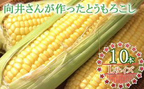 向井さんが作ったとうもろこし ゴールドラッシュ 朝もぎ直送［Lサイズ10本］※8月下旬より順次出荷 先行予約 野菜 朝採り 生 野菜 産地直送 ジューシー 焼きとうもろこし コーンスープ BBQ
