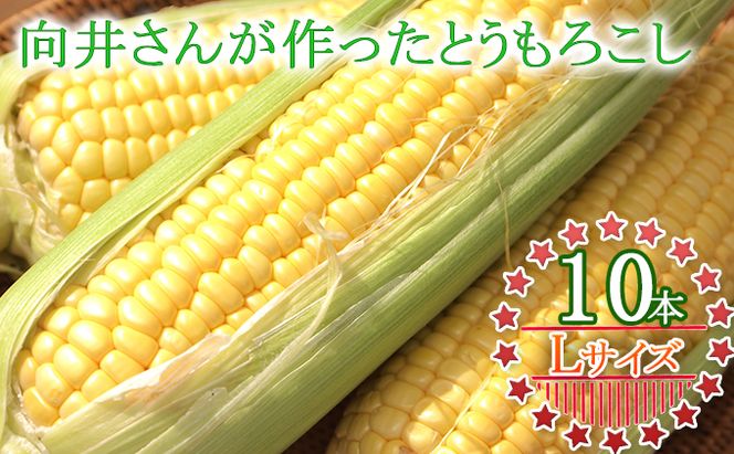 向井さんが作ったとうもろこし ゴールドラッシュ 朝もぎ直送［Lサイズ10本］※8月下旬より順次出荷 先行予約 野菜 朝採り 生 野菜 産地直送 ジューシー 焼きとうもろこし コーンスープ BBQ